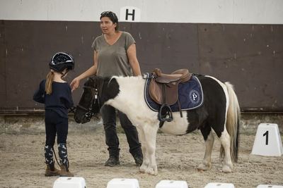 Initiation au baby poney
