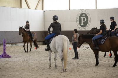 Cours d'équitation au manège