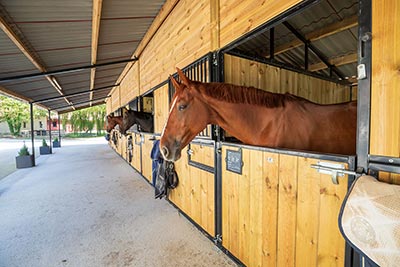 Des boxes tout confort pour les chevaux
