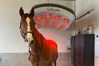 Le solarium