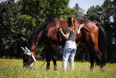 Des moments privilégiés avec vos chevaux