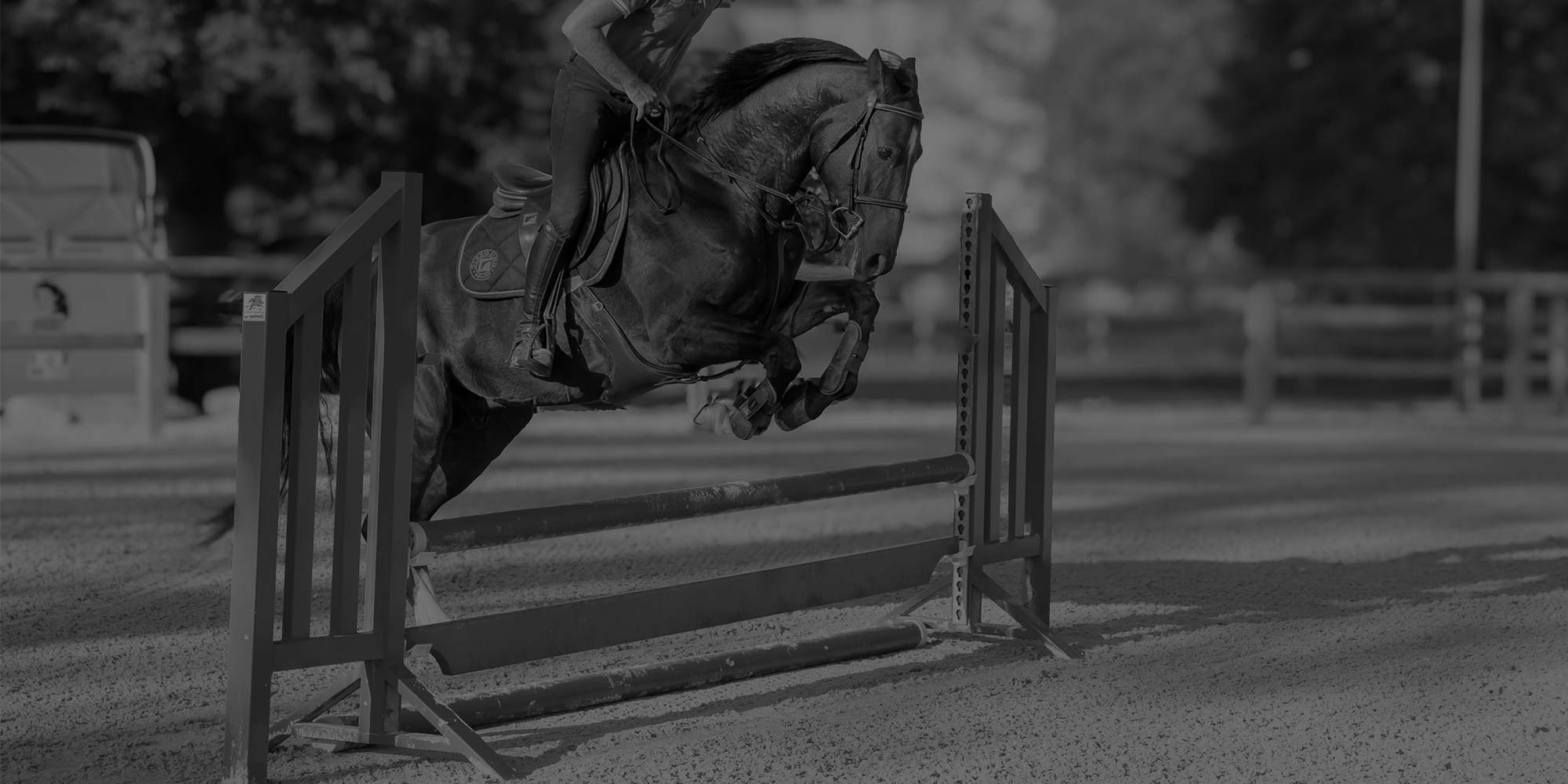 Stage pour cavalier